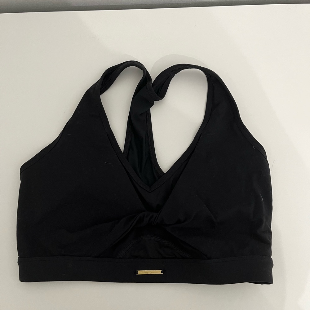 Whitney Simmons sports bra
